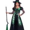 AMSCAN 2tlg. Kostüm "Spinnen-Hexe" In Grün -Trendiges Bekleidungsgeschäft amscan 2tlg kostum spinnen hexe in grun