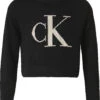 Calvin Klein Pullover , Organic Cotton -Trendiges Bekleidungsgeschäft calvin klein pullover organic cotton