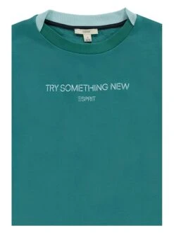 ESPRIT Sweatkleid In Grün 7 ESPRIT Sweatkleid In Grün -Trendiges Bekleidungsgeschäft esprit sweatkleid in grun 2