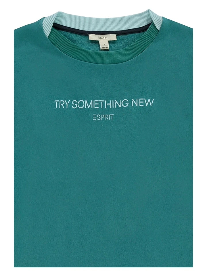 ESPRIT Sweatkleid In Grün 5 ESPRIT Sweatkleid In Grün – Bild 3