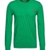 Strickpullover Lucas In Grün 1 Strickpullover Lucas In Grün -Trendiges Bekleidungsgeschäft gentlemens corner strickpullover lucas in grun