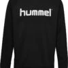 Hummel Sweatshirt "Logo" In Schwarz 1 Hummel Sweatshirt "Logo" In Schwarz -Trendiges Bekleidungsgeschäft hummel sweatshirt logo in schwarz