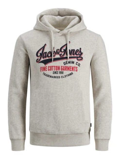 Jack & Jones Hoodie "Logo" In Hellgrau