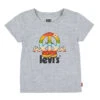 Shirt In Grau -Trendiges Bekleidungsgeschäft levis kids shirt in grau