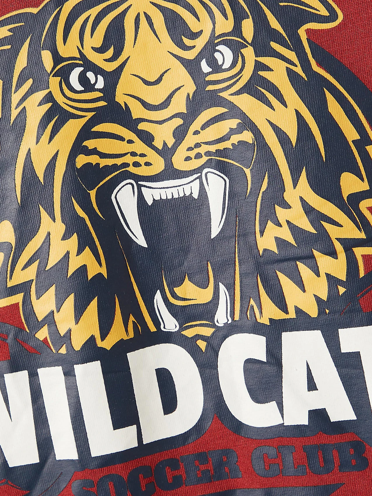 NAME IT Langarmshirt NKMRARO 5 NAME IT Langarmshirt NKMRARO – Bild 3