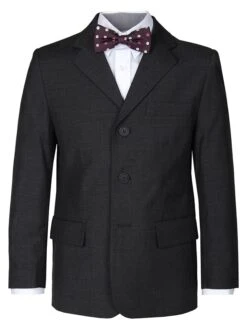 Blazer - Regular-fit - In Anthrazit