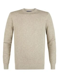 Profuomo Pullover In Grün