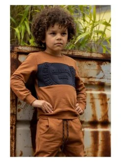 Sweatshirt In Hellbraun 7 Sweatshirt In Hellbraun -Trendiges Bekleidungsgeschäft quapi sweatshirt in hellbraun 2