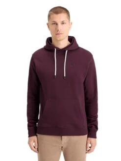 Scotch & Soda Hoodie In Pflaume