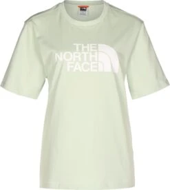 The North Face T-Shirt Easy In Green Mist