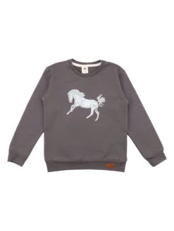 Walkiddy Sweatshirt In Grau
